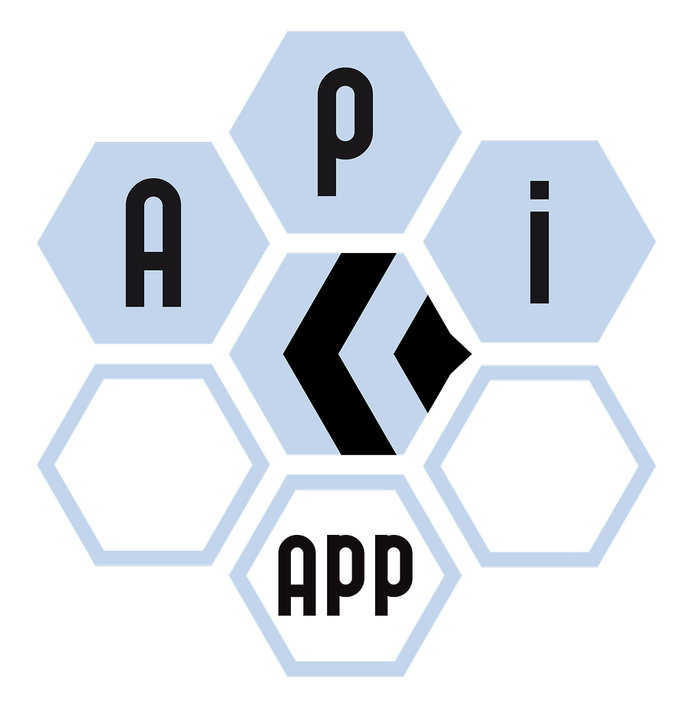 API APP Logo